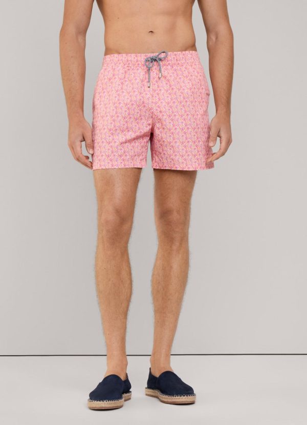 Nexusmode.shopb6b31c3aa1 2